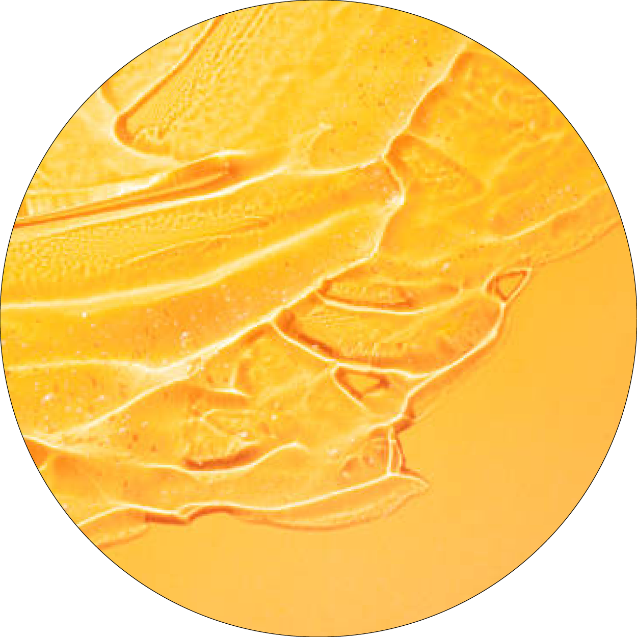 260506_DERMAFORA_INGREDIENTS_Acétate de tocophérol_300x300px2