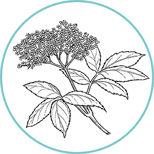 260504_DERMAFORA_INGREDIENTS_MOELCULES_300x300px3