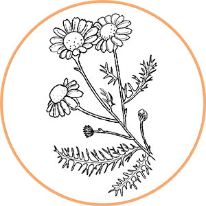 260504_DERMAFORA_INGREDIENTS_MOELCULES_300x300px8