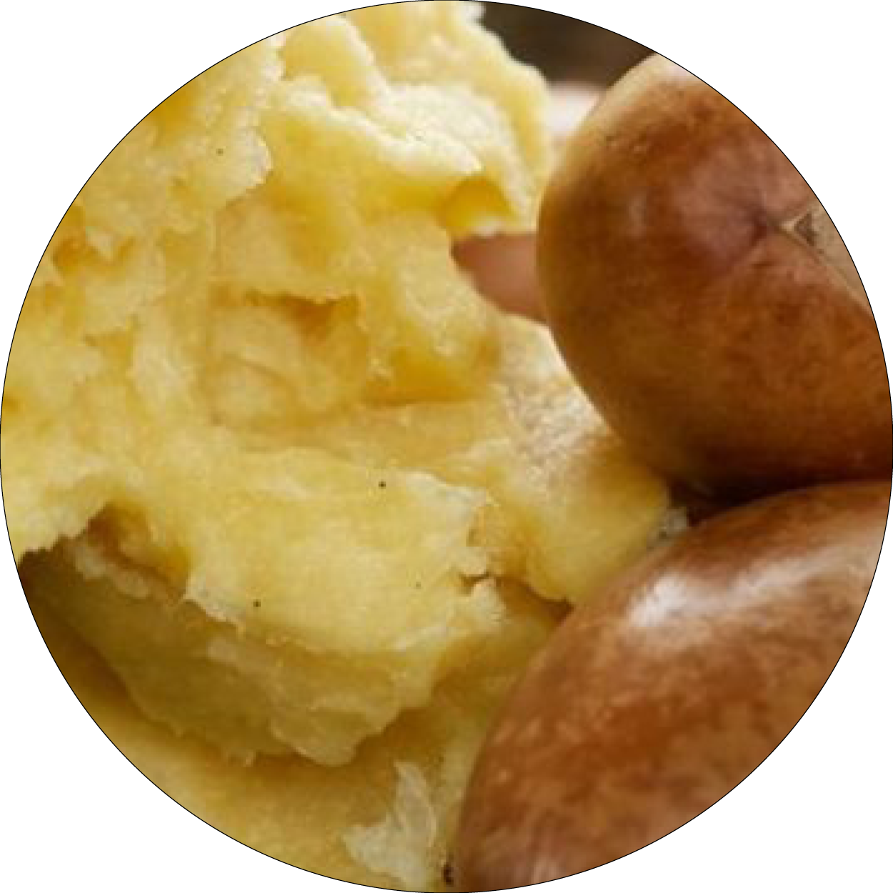 260505_DERMAFORA_INGREDIENTS_Beurre de karité_300x300px16