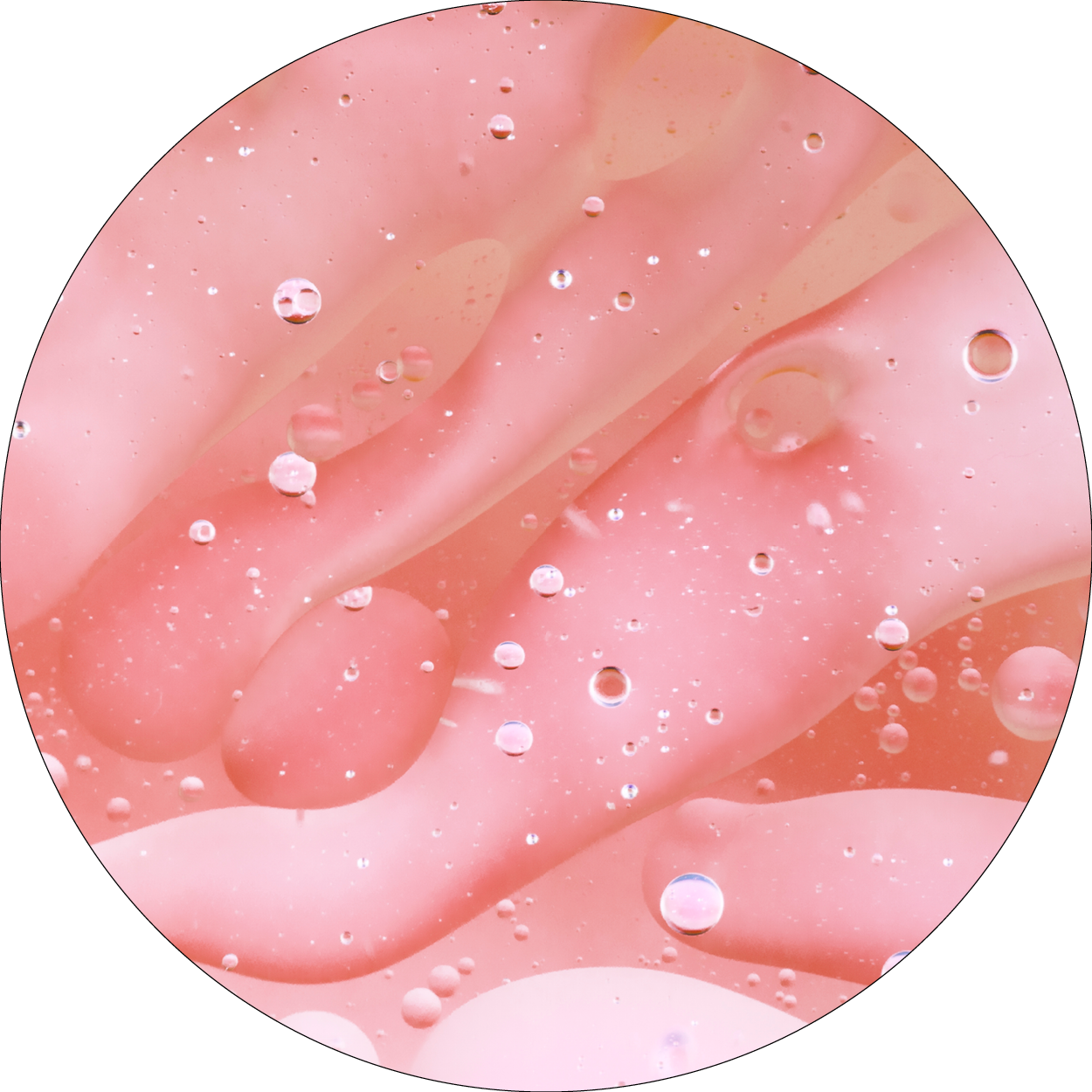 260505_DERMAFORA_INGREDIENTS_Extrait de rose musquée_300x300px21