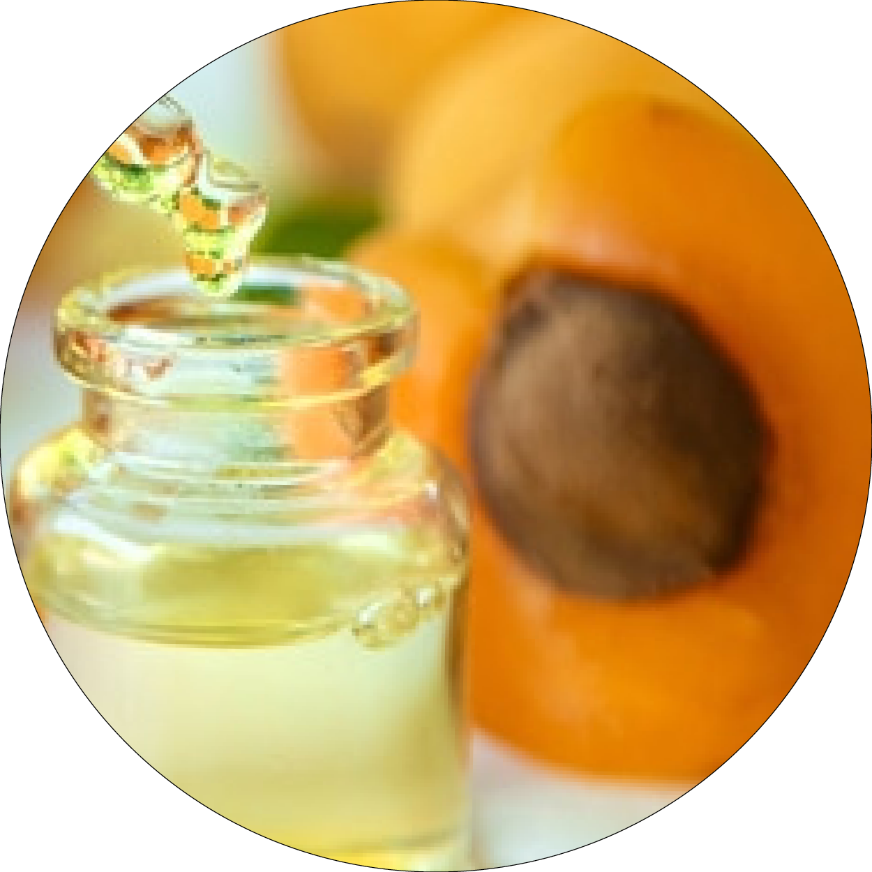 260505_DERMAFORA_INGREDIENTS_HUILE D'ABRICOT_300x300px25