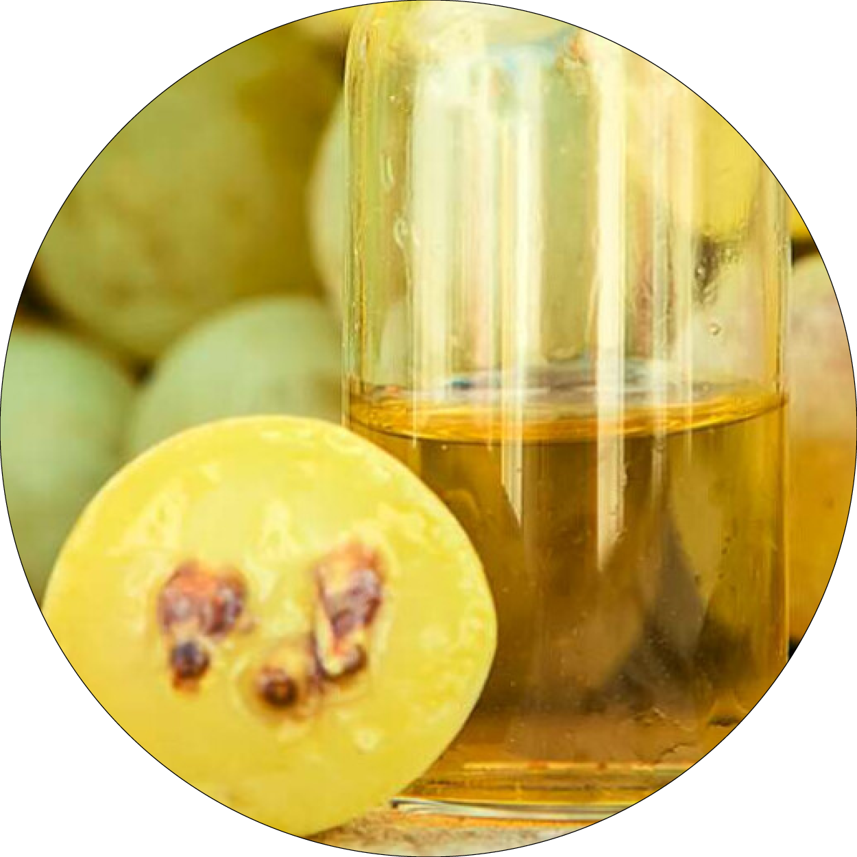 260505_DERMAFORA_INGREDIENTS_HUILE DE PÉPINS DE RAISIN_300x300px22