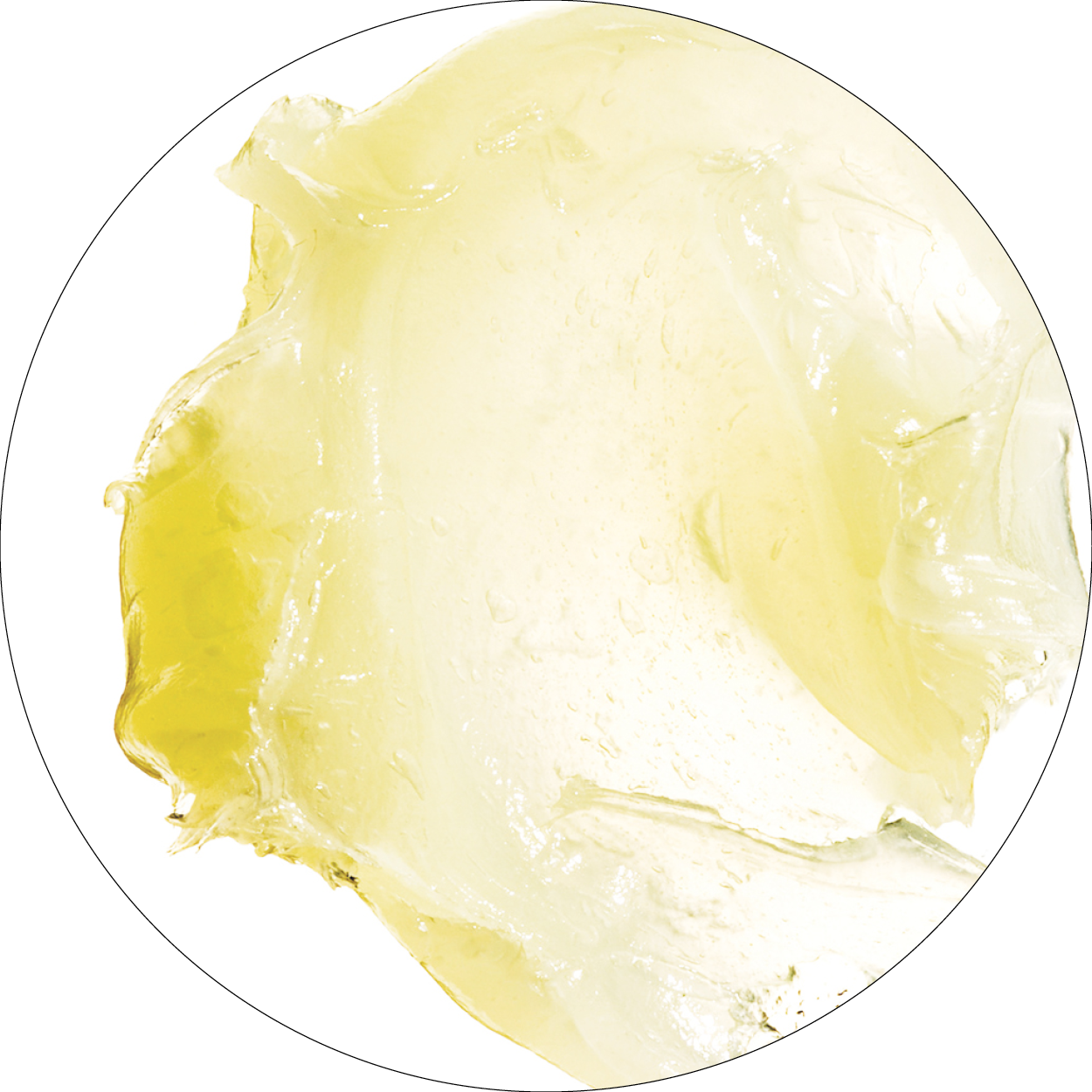 260505_DERMAFORA_INGREDIENTS_Panthénol (provitamine B5)_300x300px12